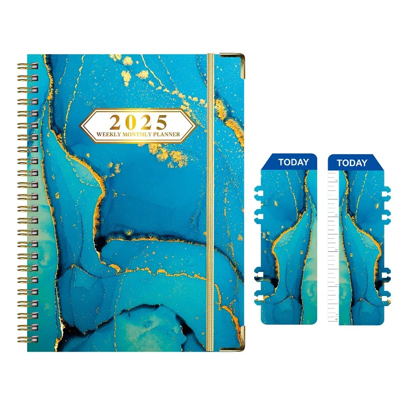 2025 Weekly & Monthly Planner  - Planner Weekly Budget review and price