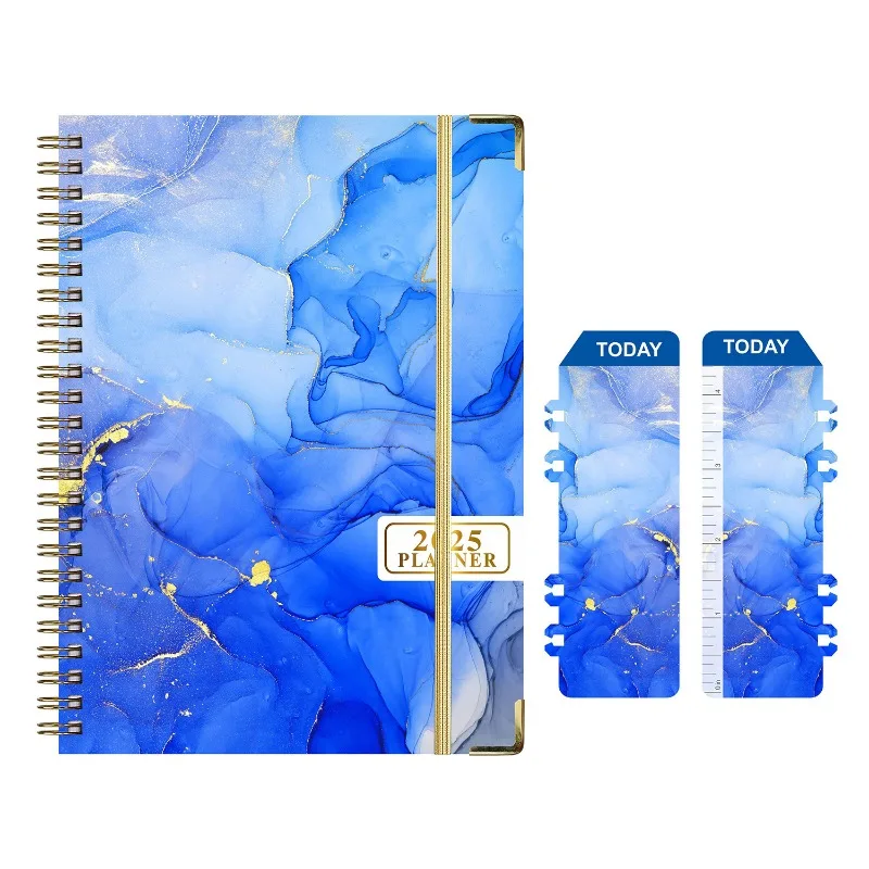2025 Weekly & Monthly Planner  - Planner Weekly Budget review and price